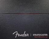 Fender Stratocaster - 70 years (DELUXE BOX EDITION)